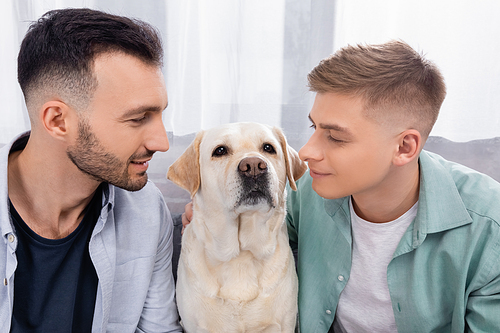 homosexual couple looking at labrador in living room