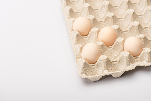 close up view of fresh chicken eggs in cardboard egg tray on white background