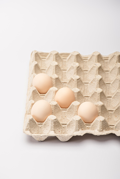 fresh chicken eggs in cardboard egg tray on white background