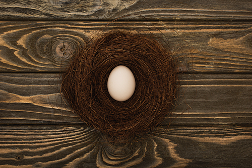 top view of fresh chicken egg in nest on wooden surface