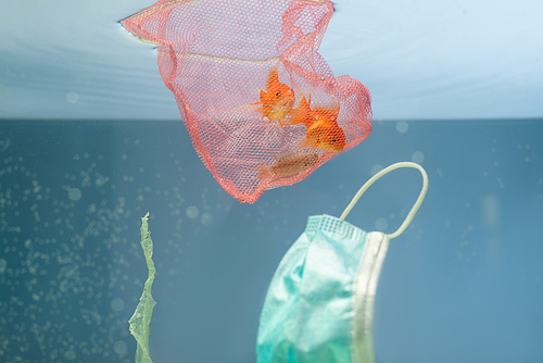 goldfishes in net, used medical mask and cellophane rubbish in water, ecology concept