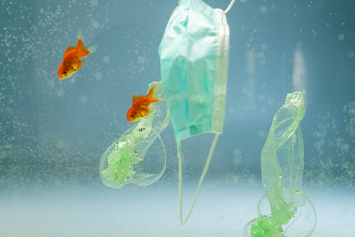 medical mask near goldfishes and polyethylene rubbish in water, ecology concept