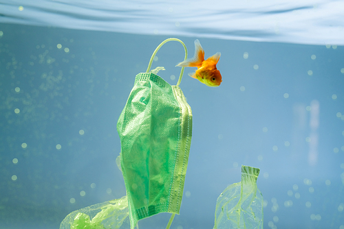 medical mask near plastic bags and goldfish in water, ecology concept