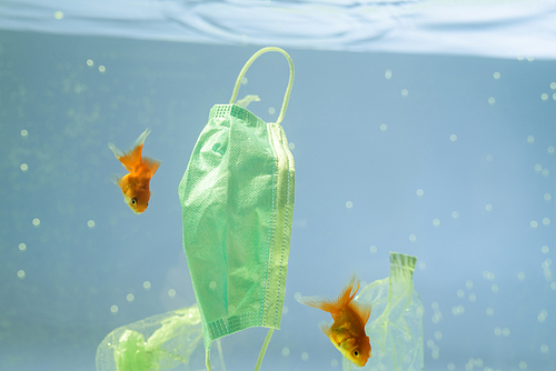 plastic garbage and medical mask near goldfishes in water, ecology concept