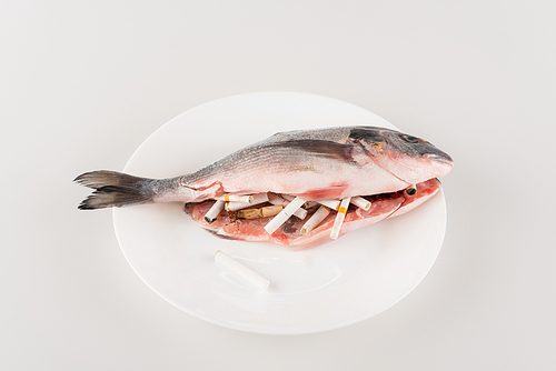 gutted fish on plate near cigarette ends on white surface, ecology concept