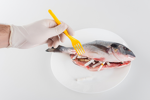 partial view of male hand in latex glove, with plastic fork, near fish stuffed with cigarette ends on white, ecology concept