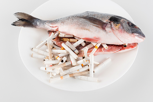 top view of gutted fish near cigarette ends on white, ecology concept