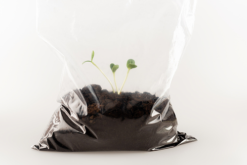 soil with young plants in plastic bag on white, ecology concept