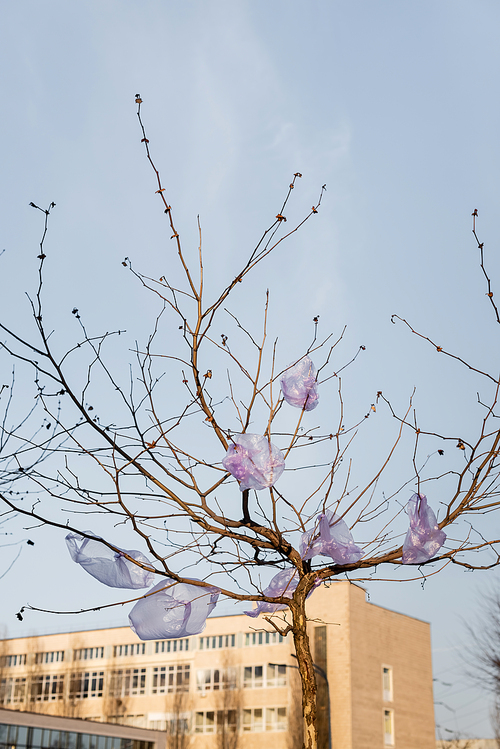 cellophane bags on tree in city against blue sky, ecology concept