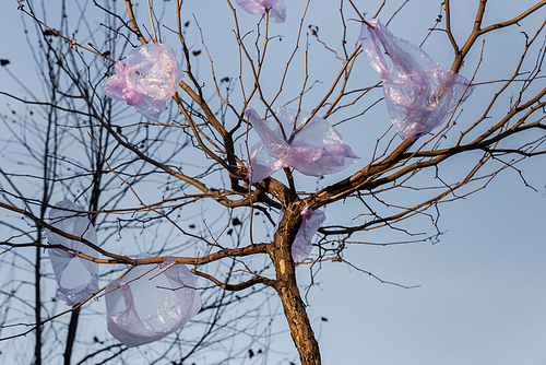 low angle view of tree with plastic bags on branches, ecology concept