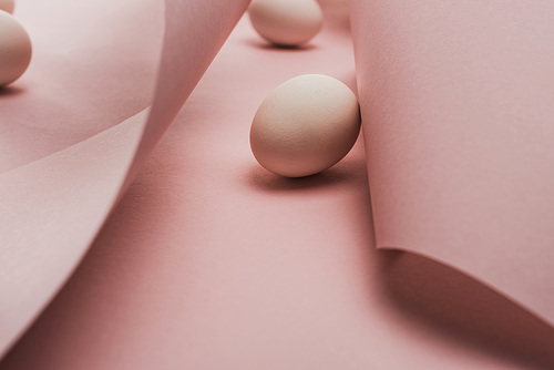 chicken eggs in spiral paper pink swirls