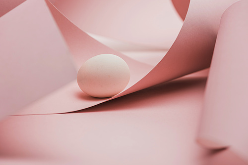 chicken egg in shadow in spiral paper pink swirls