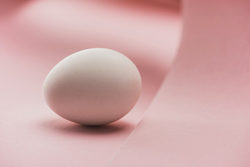 close up view of chicken egg in shadow in spiral paper pink swirl