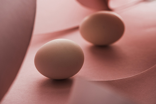 selective focus of chicken eggs in shadow in spiral paper pink swirls