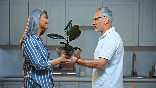 side view of grey haired man gifting plant to happy asian wife