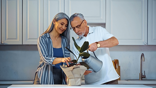 elderly man watering plant near happy asian woman in kitchen