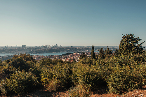 green trees on hill, and city view with Bosphorus strait