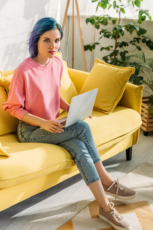 Freelancer with colorful hair and laptop  and sitting on sofa with crossed legs in living room