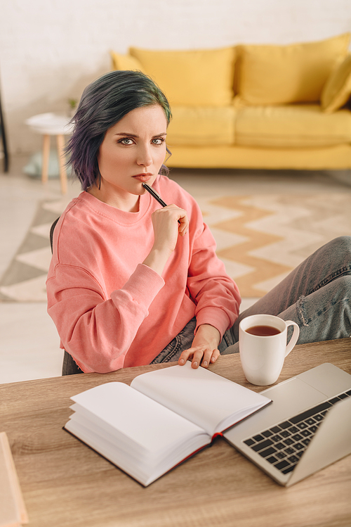 High angle view of freelancer with colorful hair and pen  at table with cup of tea, notebook and laptop in living room