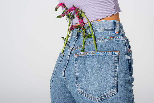 partial view of young woman in jeans with lupine flowers in pockets posing isolated on white