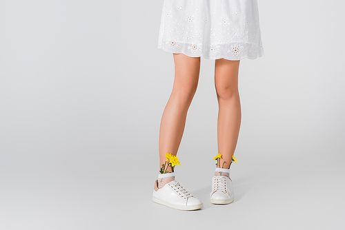 cropped view of model in sneakers with yellow spring wildflowers posing on white