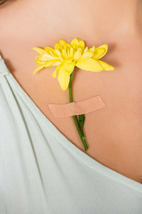 cropped view of plaster with yellow flower on body of woman
