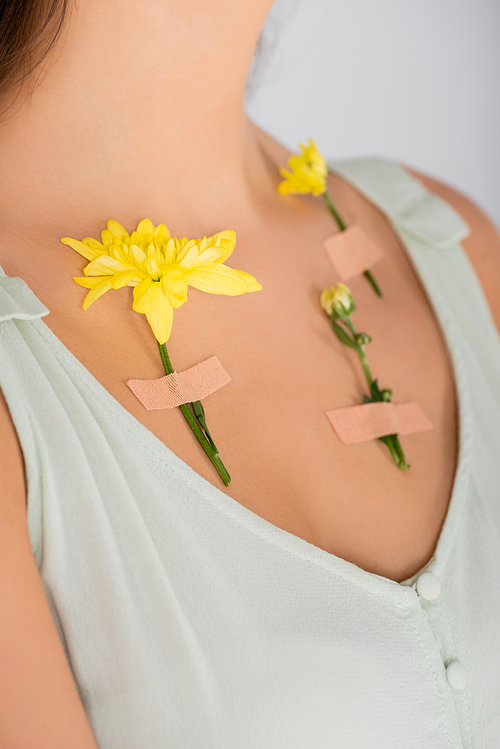 cropped view of plasters with yellow flowers on body of woman isolated on white