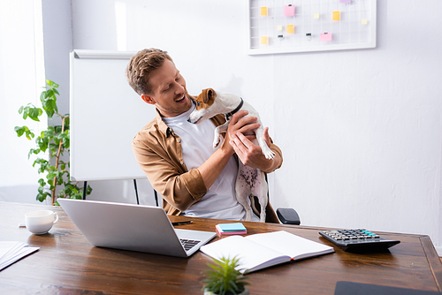 businessman in casual clothes holding jack russell terrier dog while sitting in office near laptop and notebook