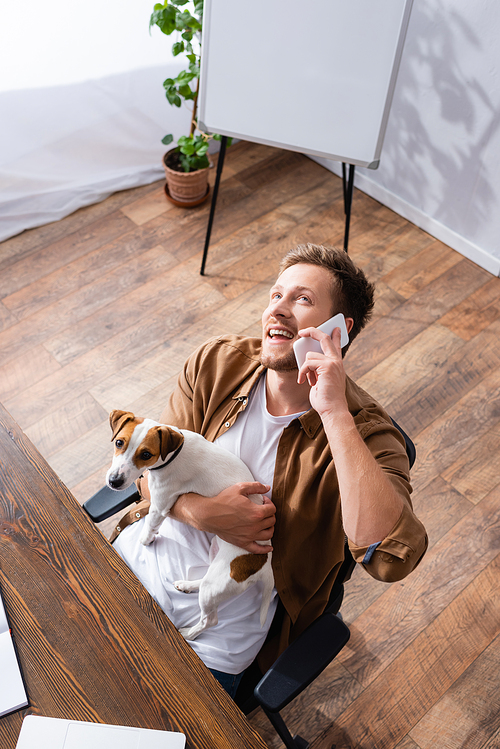 high angle view of businessman talking on smartphone while holding jack russell terrier dog