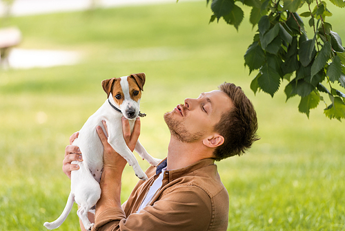 young man holding white jack russell terrier dog with brown spots on head near tree branch