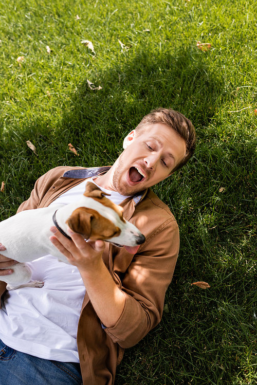 top view of excited man lying on green lawn with jack russell terrier dog