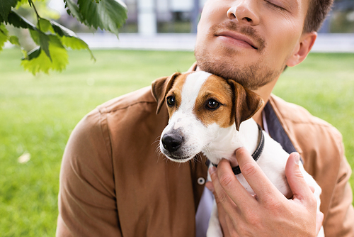cropped view of young man holding white jack russell terrier dog with brown spots on head