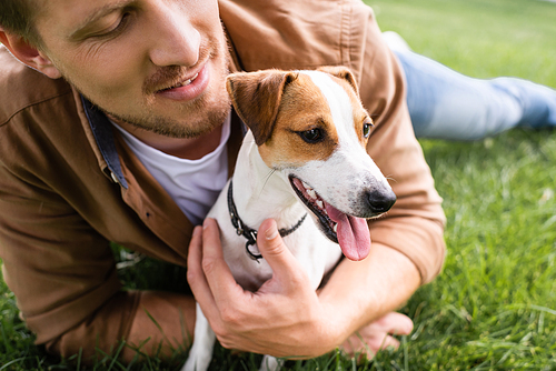 partial view of young man cuddling jack russell terrier dog while relaxing on green grass