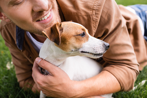 cropped view of man cuddling jack russell terrier dog while lying on green lawn