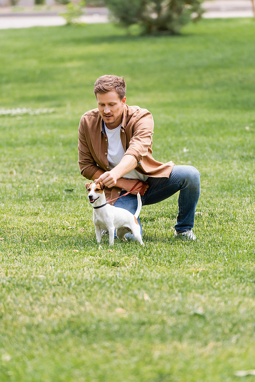 young man in casual clothes training jack russell terrier dog on lawn in park