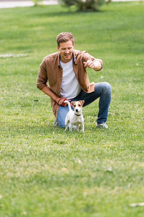 young man in brown shirt and jeans playing with jack russell terrier dog on green grass in park