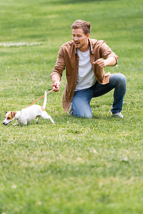 young man in casual clothes having fun with jack russell terrier dog on green lawn in park