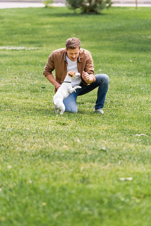 young man in shirt and jeans having fun with jack russell terrier dog on lawn in city park