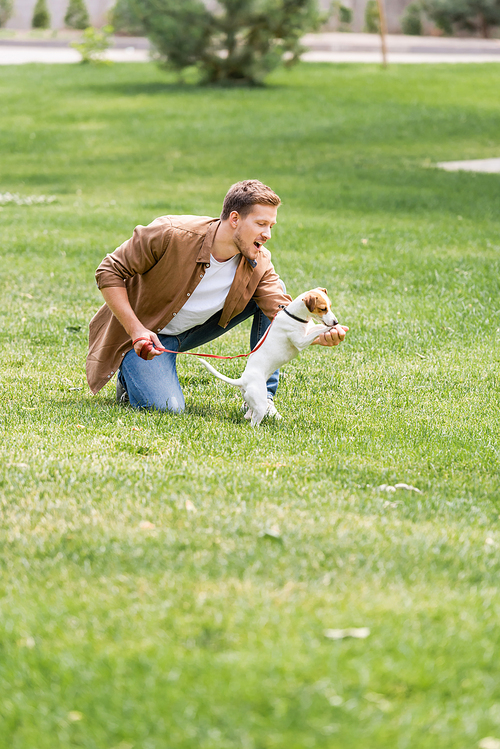 excited man playing with jack russell terrier dog on green grass in park