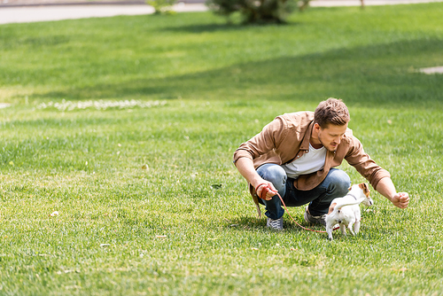 Selective focus of young man playing with jack russell terrier in park