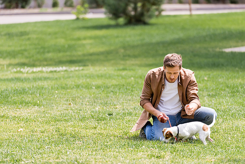 Selective focus of young man looking at jack russell terrier on leash in park