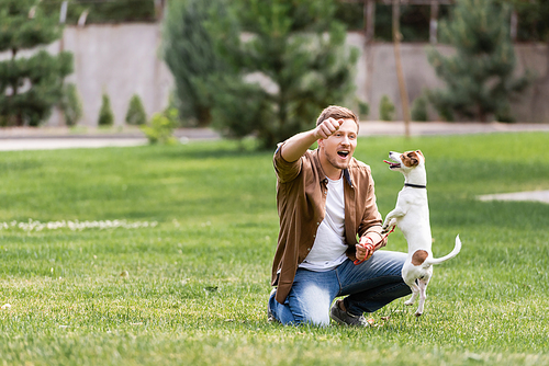 Selective focus of excited man playing with jack russell terrier in park