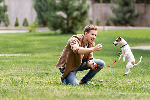 Selective focus of excited man looking at jumping jack russell terrier in park