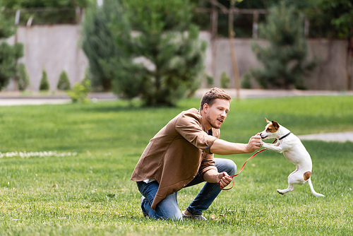 Selective focus of young man playing with jack russell terrier on grassy lawn