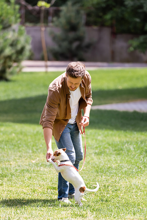 Selective focus of man playing with jack russell terrier on leash in park