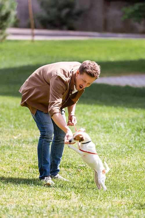 Selective focus of excited man playing with jack russell terrier on grass in park
