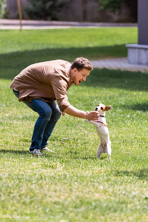 Selective focus of excited man training jack russell terrier on grass in park