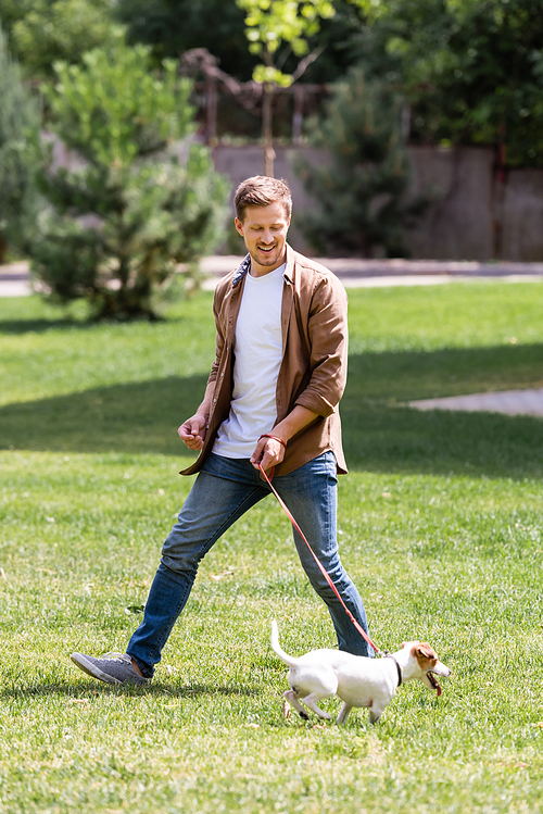 Selective focus of man looking at jack russell terrier on leash in park