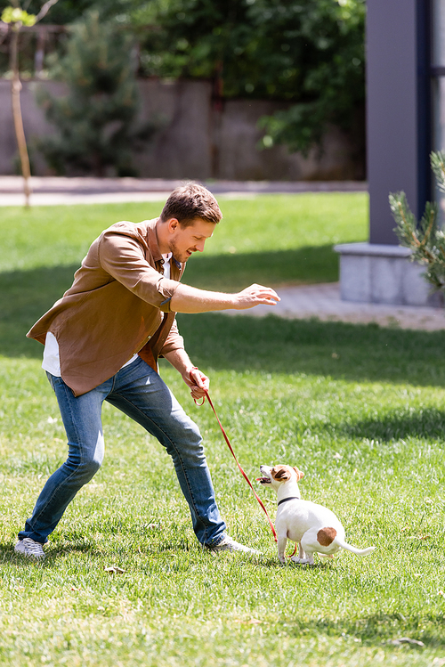 Selective focus of man in jeans playing with jack russell terrier on leash in park