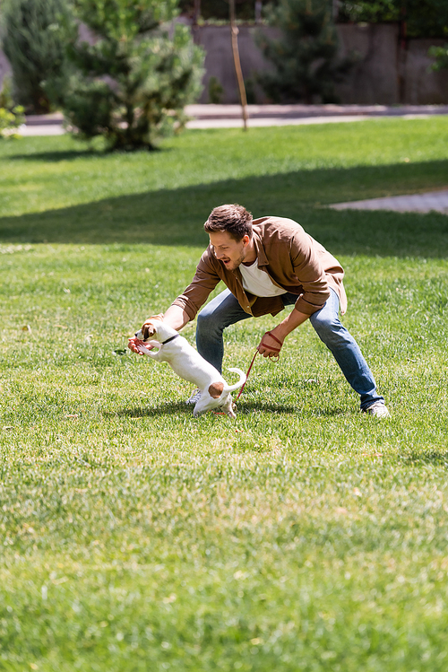 Selective focus of excited man holding leash while playing with jack russell terrier in park